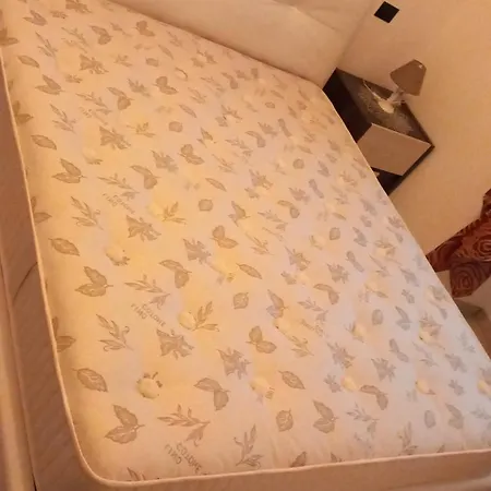 Il Biscottino